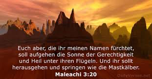 Dieses Bild hat ein leeres Alt-Attribut. Der Dateiname ist image-2.png